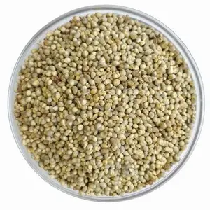 Native Pearl Millet
