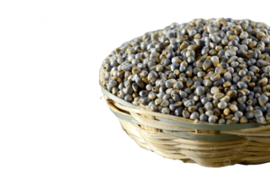 Wild Pearl Millet Rice